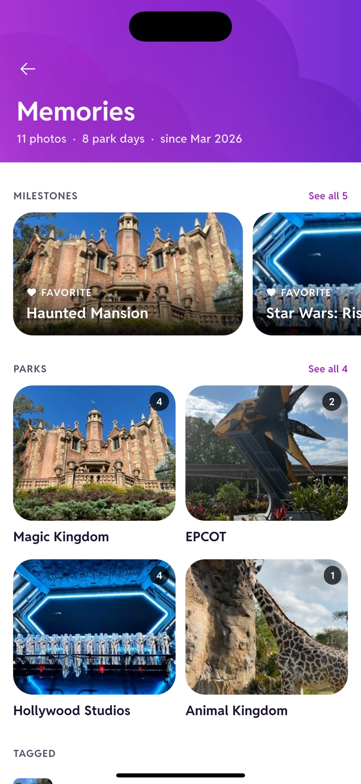 The Memories screen: 11 photos across 8 park days, grouped into favorites and then by park, with cover photos for Magic Kingdom, EPCOT, Hollywood Studios and Animal Kingdom.